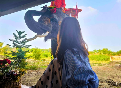 象さんが遊びに来るカフェ